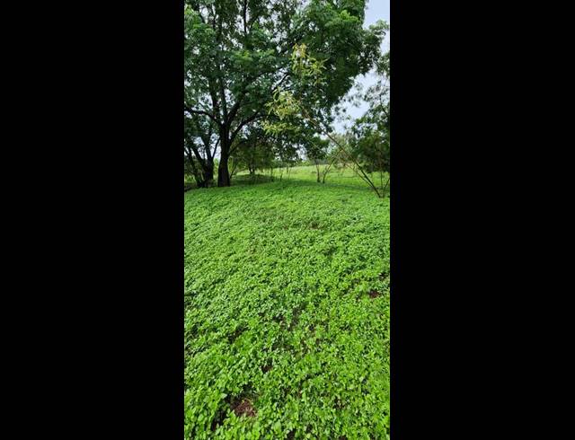 FARM FOR SALE IN GERARDSVILLE